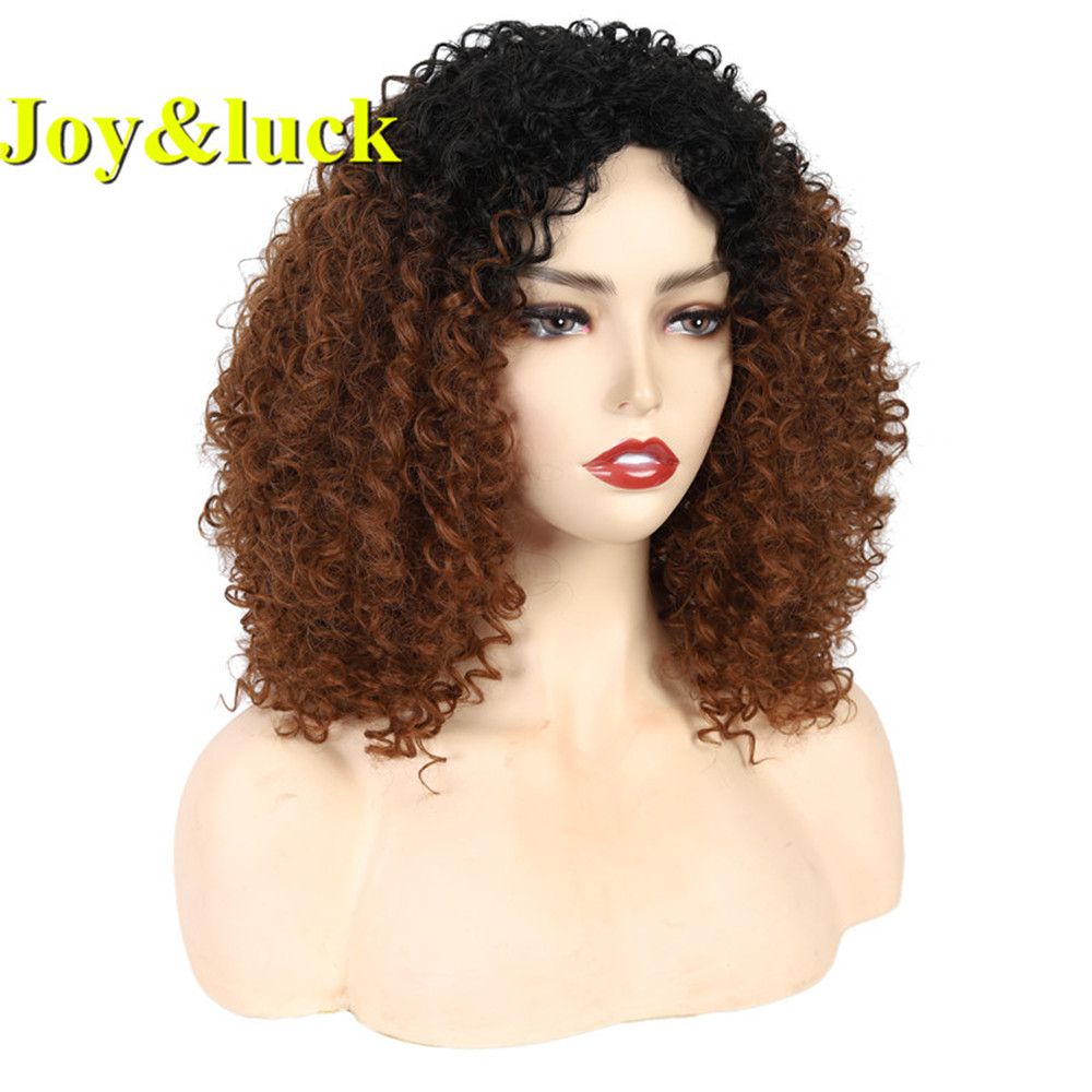 Woman Ladies Wig Wholesale Wigs for Women Middle Part Party Dark Root Brown Ombre Blonde Natural Short Curly Synthetic Hair Wigs