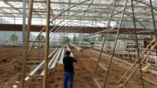 single span galvanized hoophouse