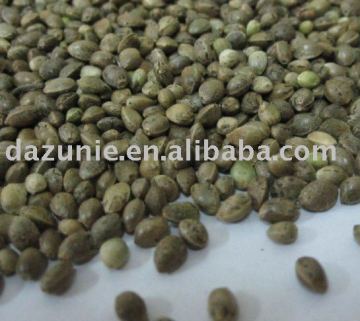 Hempseed for Bird Feed