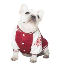 Varies colorful Dog T-Shirt