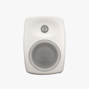 Professional Series Wall Mount Speakers