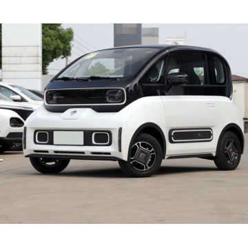 3 Seats Mini High Speed Electric Car