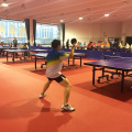 ITTF ปิงปอง พื้นกีฬาในร่ม หนา 7 มม.