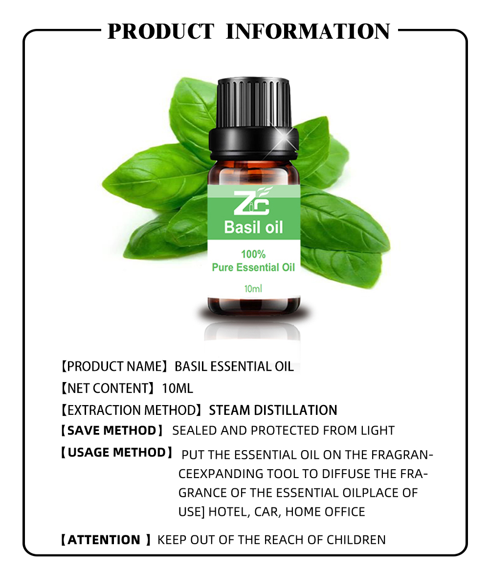 Pure Natural Basil Essential Oil for Diffuser Massage