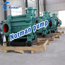 Horizontal Multistage Pump
