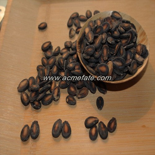 Chinese Watermelon Seed for Sale