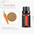 Huile essentielle de graines de carotte de bonne qualité pour les soins de la peau