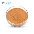 Polysaccharide d&#39;extrait de champignon Reishi Ganoderma lucidum