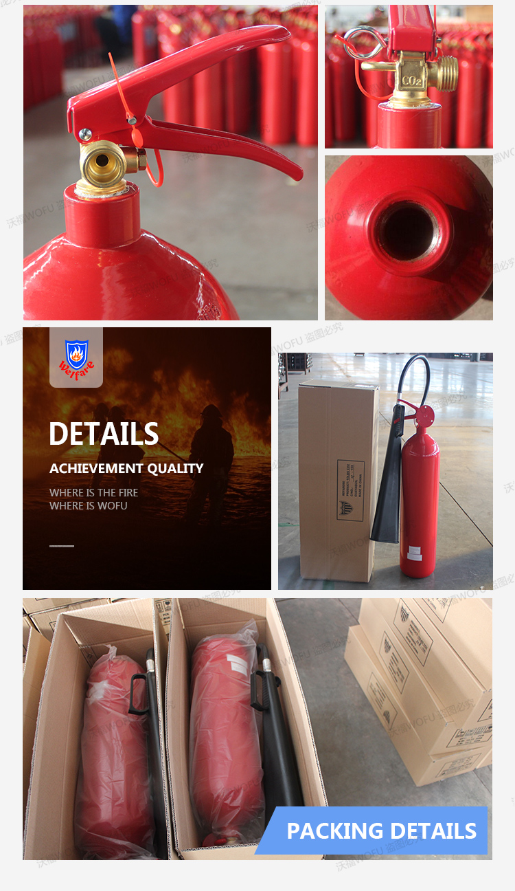 20LBS ALLOY STEEL CO2 Fire Extinguisher price