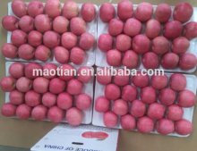 Fresh Style and Pome Fruit Product Type fresh apples