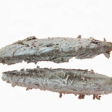 Frozen Natural Tuna Fish Skipjack Loin For Importers