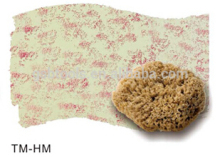 natural sponge paint tools