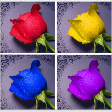 5D Diamond Painting Dripping Rose DIY Diamond Embroidery Painting