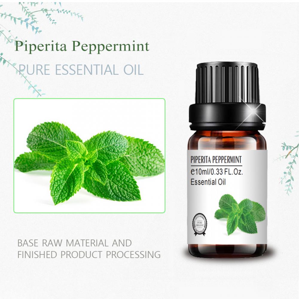 Piperita Peppermint Oil Peppermint de grado cosmético para masajes