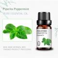 Piperita Peppermint Oil Peppermint de grado cosmético para masajes