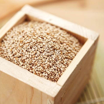 INDIAN WHITE NATURAL SESAME SEED