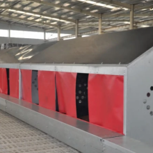 Automatic Chicken Egg Laying Nest Box Collection System