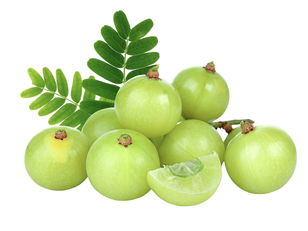 Натуральный порошок экстракта амлы Natural Amla Extract Powder