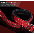 Soft Padded Dog Collar with Buckle