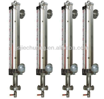 Magnetic level gauge