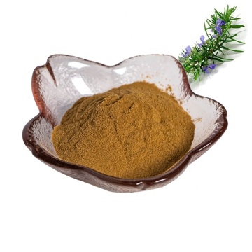 factory supply rosmarinus officinalis extract powder 10:1/rosemary extract