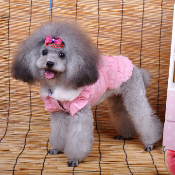 Hot Sale Pet Clothing for Dogs