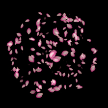 Pink Petals Gobo Glass Film Slide for Projector