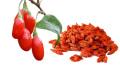 Δωρεάν δείγμα 750granule / 50g Goji Berry με χαμηλή τιμή