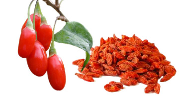 Certified freeze organic dried goji berries