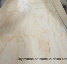 Wood Lumber Pine Plywood 5.2mm Furniture Plywood