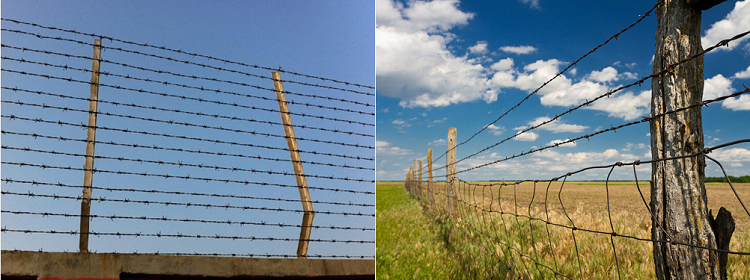 Double Barbed Wire