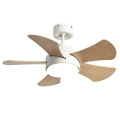 LEDER Modern Ceiling Fan With Light