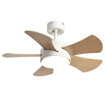 Ventilateur de plafond moderne LEDER avec lumière