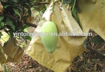 Cheap mango bag, Mango Paper Bag, Mango Growing Bag