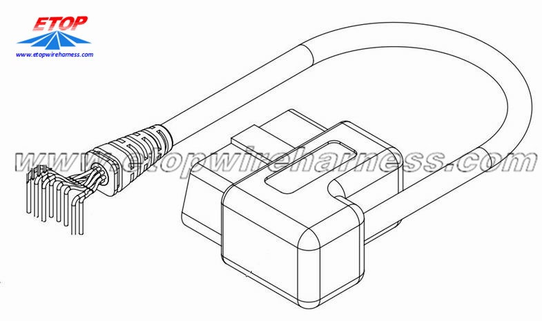 Asopọ Ṣiṣe ayẹwo OBD Fun Ọkọ ayọkẹlẹ