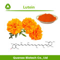 Lutein 80% HPLC Extract Marigold Flower Powder