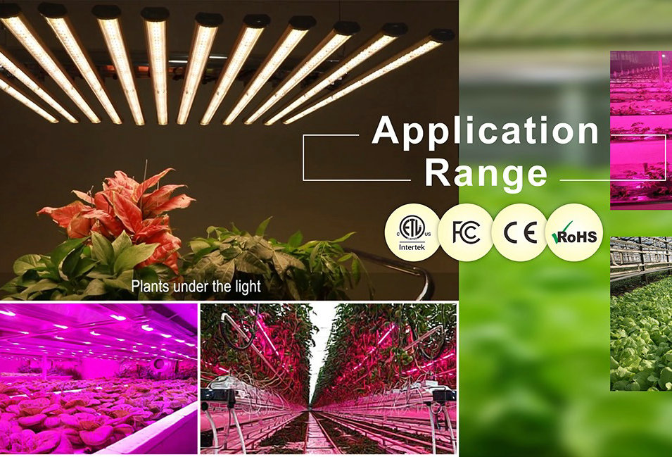 1000w Grow Lights 13 Jpg