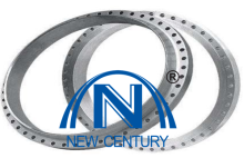 Gost 33259 standard flange