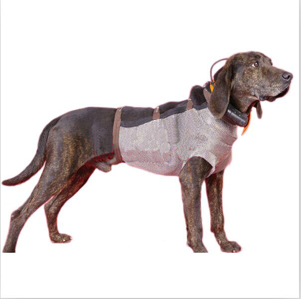 chain mail dog protection clothe