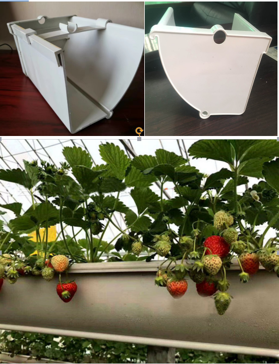 Commercial Strawberry Gully Hydroponics Channel