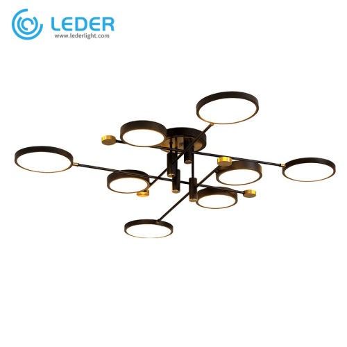 LEDER Flush Black Ceiling Lamp