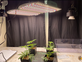 lampu lipat alex aglex foldable light