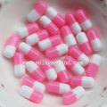 New Hot Multi Colors Capsule Resin Beads For Earring Stud