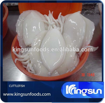 IQF Whole Cleaned Baby Cuttlefish WR