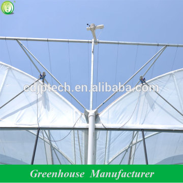 multi-span hot dipped galvanized 200micro pep film greenhouse