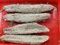 Bonito Bonito Bonito Frozen Precooked Tuna Loin untuk Canning