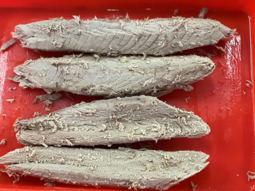 Frozen Cooked Bonito Tuna Skipjack Loin For Market