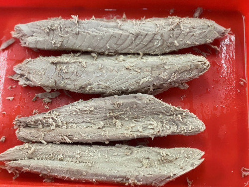 Bonito Bonito Bonito Frozen Precooked Tuna Loin untuk Canning