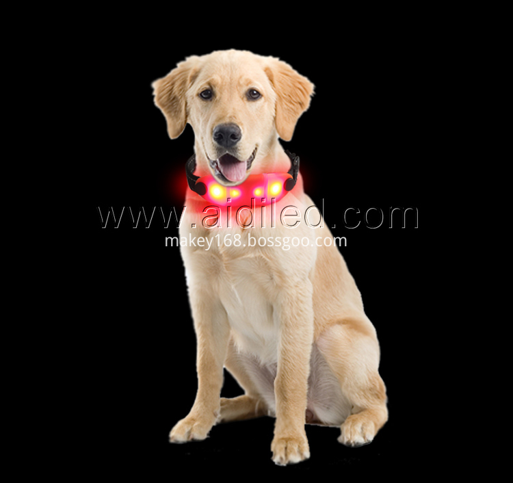 glowing pet safety collars glowing pet safety collars