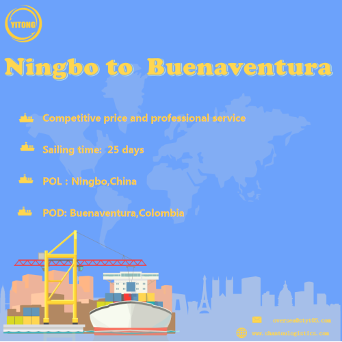 Servizio di trasporto marittimo da Ningbo a Buenaventura Colombia
